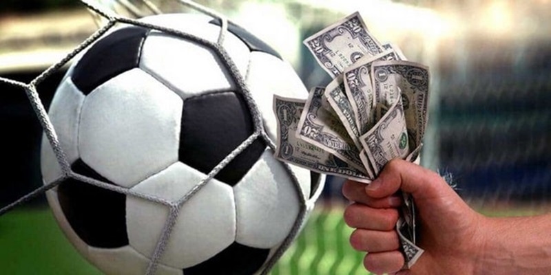 Tài Xỉu 2 1/4 Là Sao? Bật Mí Cách Đọc Kèo Đúng Nhất Kết quả kèo tài xỉu 2 1/4