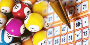 Lưu Ý Khi Tham Gia Trực Tiếp Xổ Số Miền Nam Cho Tân Thủ